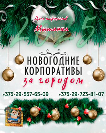 Новый год Барановичи Дом торжеств МЫШАНКА